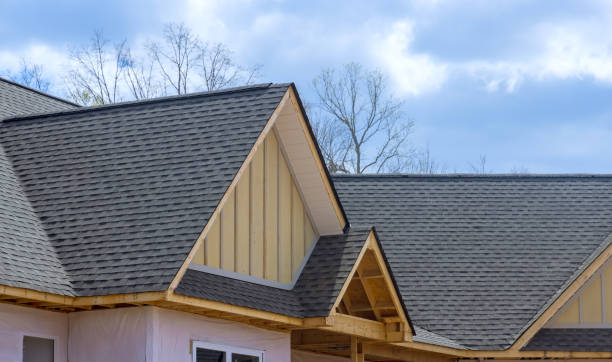 Steel Roofing in Winter Garden, FL